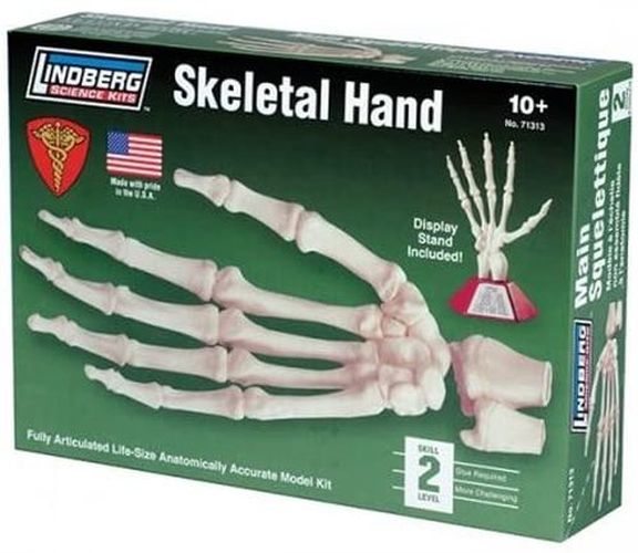 LINDBURG MODEL Skeletal Hand Model Kit - 