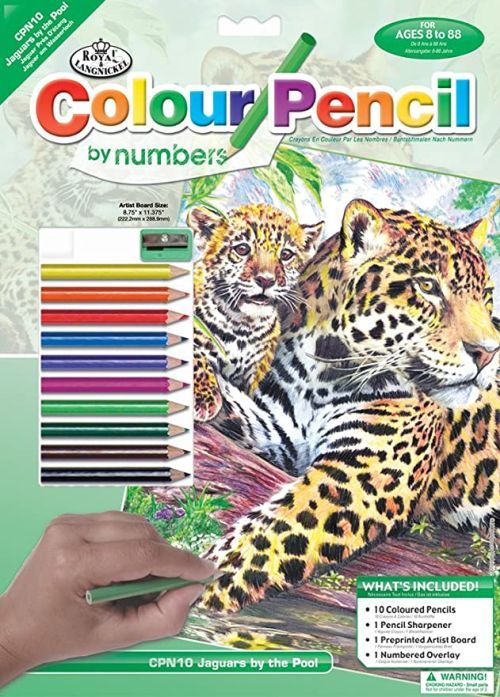 ROYAL LANGNICKEL ART Jaguar By Pool Colour Pencil By Numbers - 