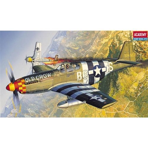 ACADEMY MODEL P-51b Mustang 1:72 Scale - MODELS