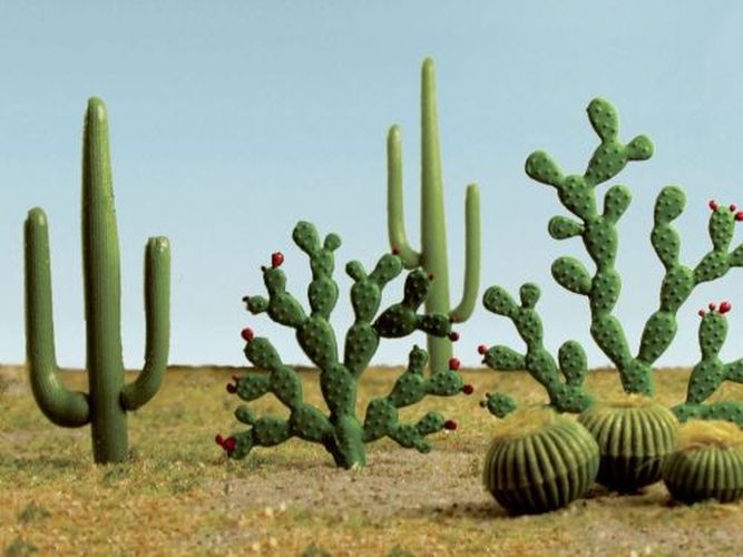 BACHMANN Cactis Landscaping Supply - .