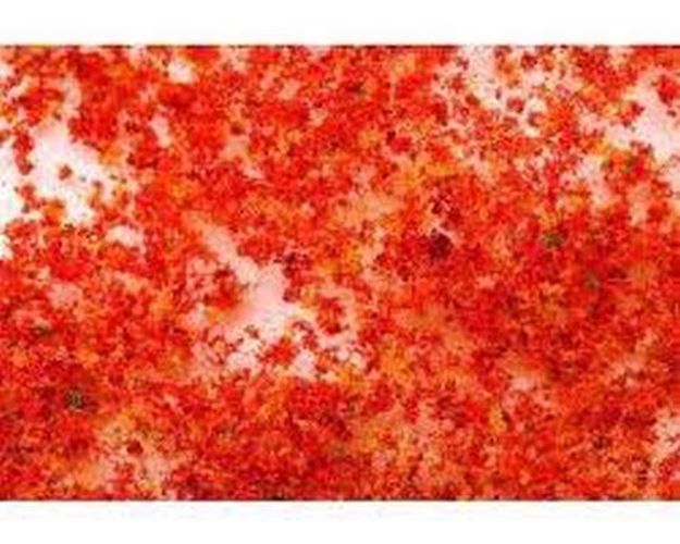 BACHMANN Late Fall Medium Foliage Landscaping Supply