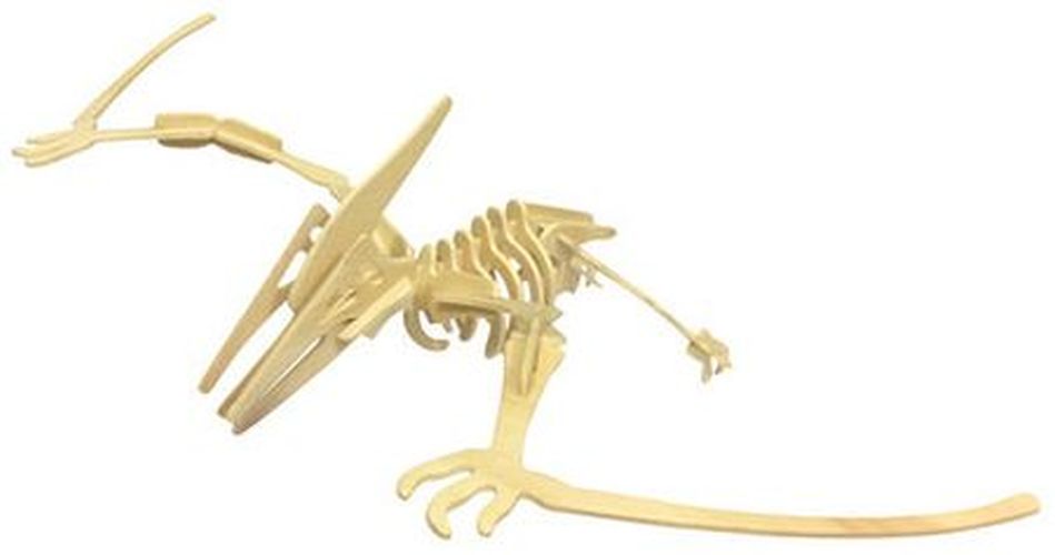 DENTT Pterosaur Wooden Dinosaur Skeleton Model - SCIENCE
