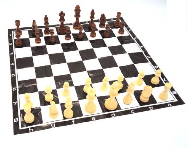 DENTT Simulated Wood Chess Men Piece Plastic Set - 