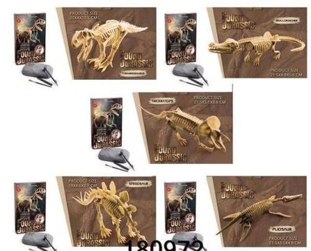 DENTT Diy Dinosaur Fossil Digging Kit - .