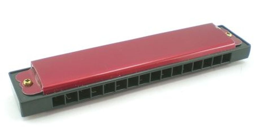 DENTT Toy Harmonica Musical Instrument