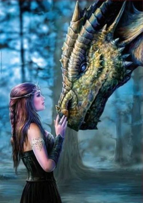 EDUCA BORRAS PUZZLE Once Upon A Time Dragon 1000 Piece Puzzle - 