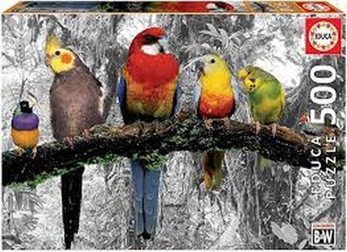 EDUCA BORRAS PUZZLE Birds On The Jungle 500 Piece Puzzle