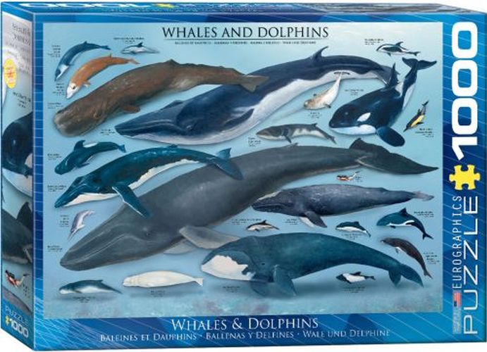 EUROGRAPHICS Whales And Dolphins 1000 Piece Puzzle - 