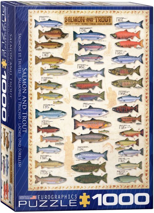 EUROGRAPHICS Salmon And Trout 1000 Piece Puzzle - PUZZLES