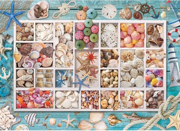 EUROGRAPHICS Seashell Collection 1000 Piece Puzzle - 