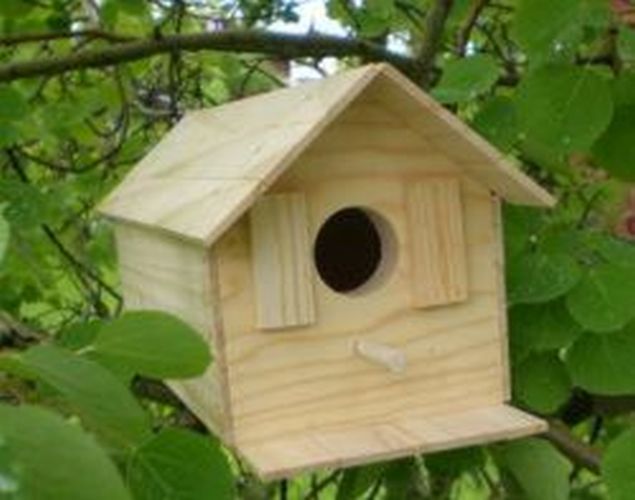 Wood Bird House Kit