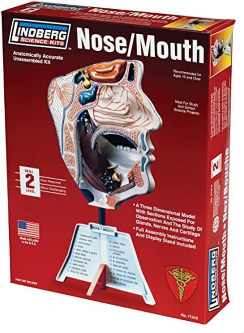 LINDBURG MODEL Nose/mouth Model Kit