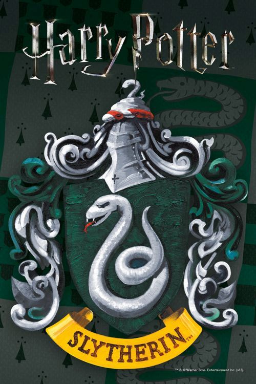 NMR Harry Potter Slytherin 150 Piece Pdq Puzzle - PUZZLES