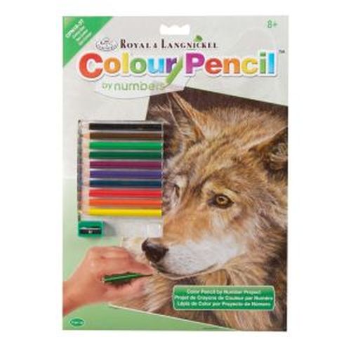 ROYAL LANGNICKEL ART Curious Eyes Wolf Pencil By Number Kit - CRAFT
