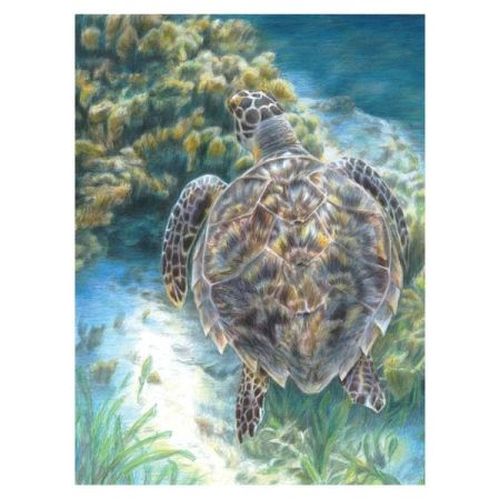 ROYAL LANGNICKEL ART Sea Turtle Pencil By Number Kit - CRAFT