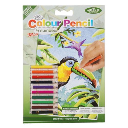 ROYAL LANGNICKEL ART Tropical Birds Colour Pencil By Numbers - CRAFT