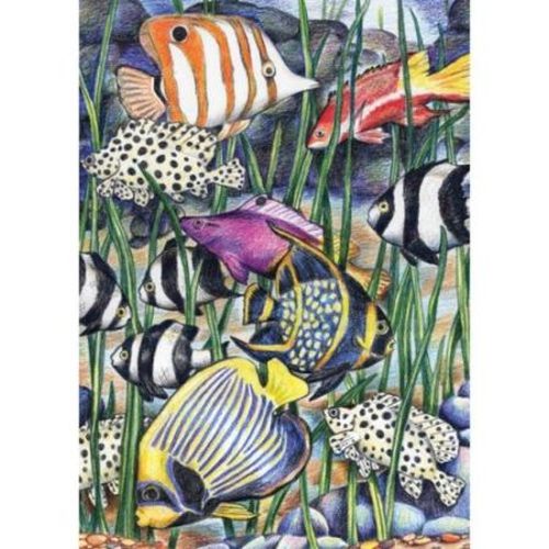 ROYAL LANGNICKEL ART Tropical Underwater Life Color Pencil By Number - .