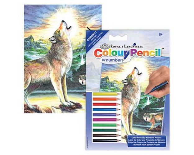 ROYAL LANGNICKEL ART Wolf At Night Color Pencil Art Project - .