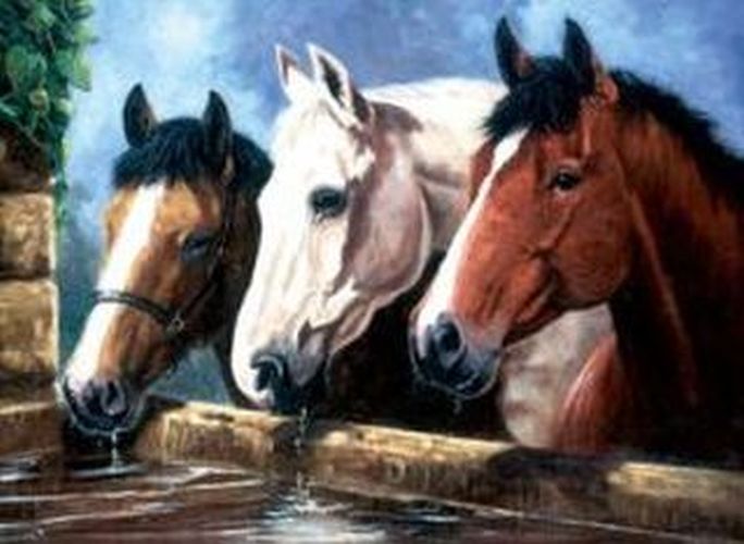 ROYAL LANGNICKEL ART Three Of A Kind Painting By Numbers Art Project - CRAFT