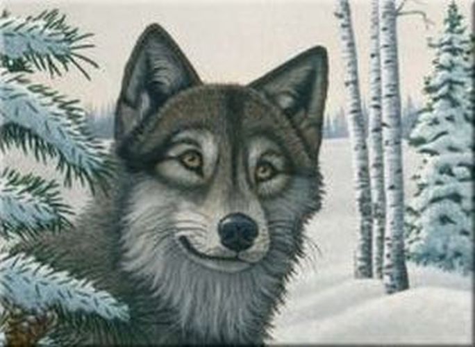 ROYAL LANGNICKEL ART Snow Wolf Painting By Numbers Art Project - .