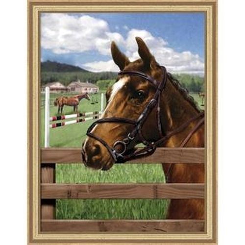 ROYAL LANGNICKEL ART Equine Paddook Horse Painting By Number Art Kit - CRAFT