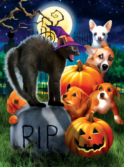 SUNSOUT Dont Mess With Kitty Halloween 1000 Piece Puzzle - 