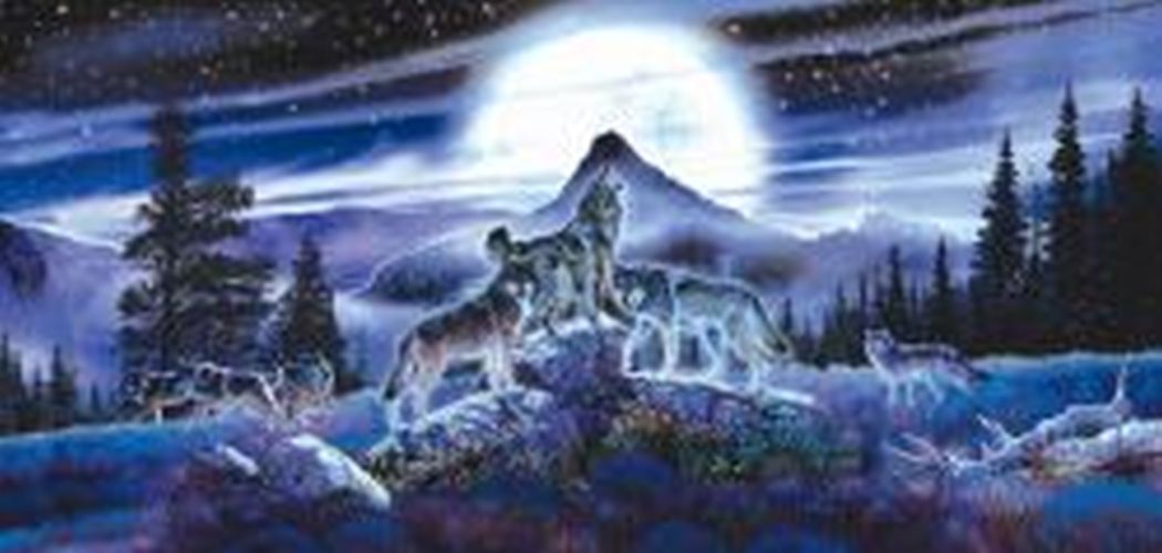 SUNSOUT Night Wolves 1000 Piece Puzzle - 