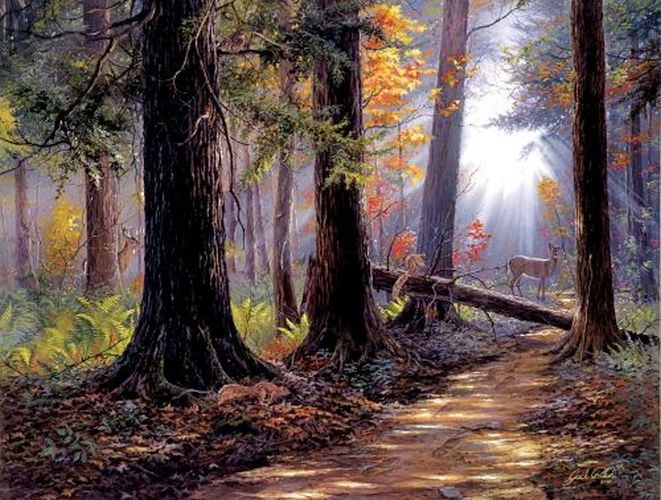 SUNSOUT Peaceful Path 500 Piece Puzzle - 