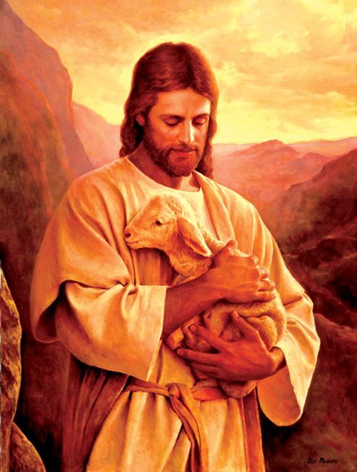 SUNSOUT Lost Lamb 500 Piece Puzzle - PUZZLES