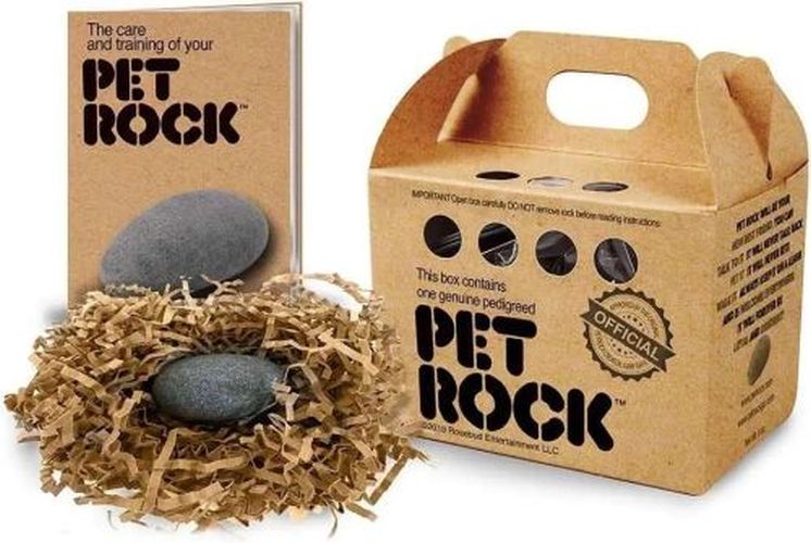 SUPER IMPULSE Pet Rock - 